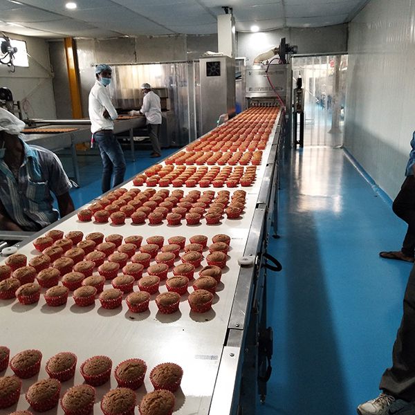 Línea automática de producción de bizcochos