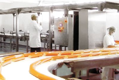 Línea automática de producción de bizcochos